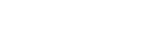 Partner 2