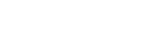 Partner 7